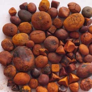 100 % Whole Ox/Cattle Gallstone